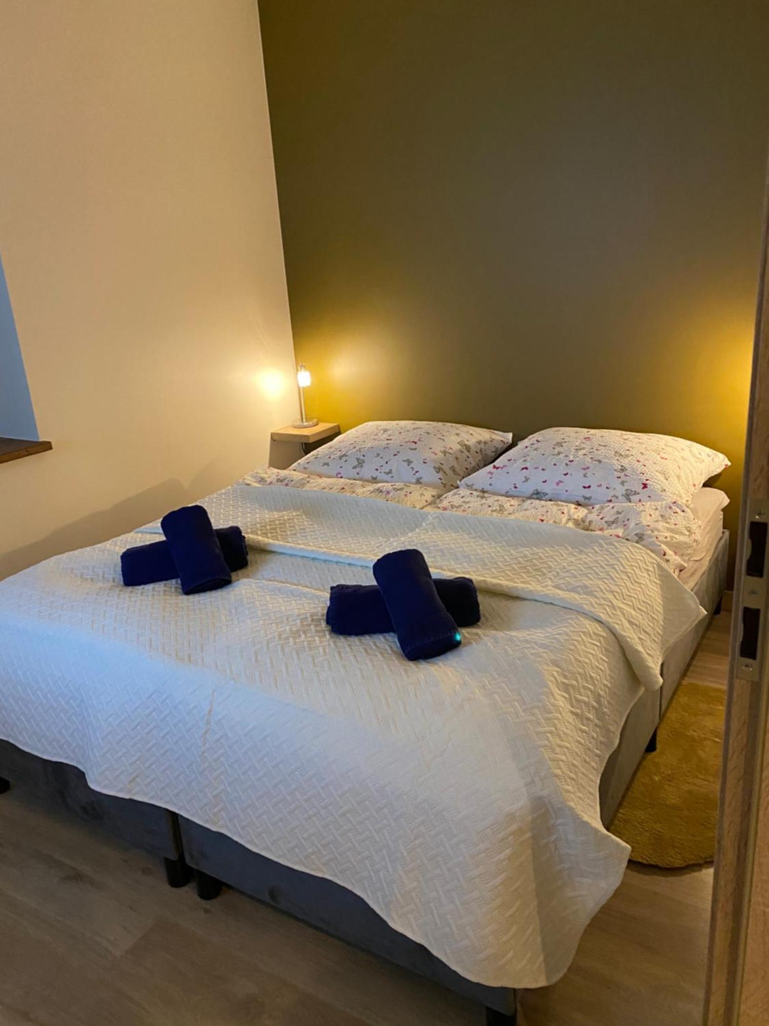 Apartment Apartizer Swieradow Zdroj